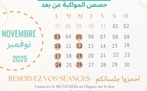 Séances de E-coaching - Novembre 2025